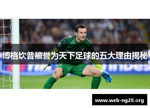 博格坎普被誉为天下足球的五大理由揭秘 博格坎普被誉为天下足球的五大理由揭秘