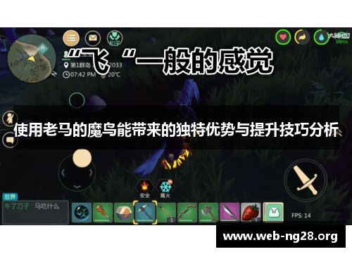 使用老马的魔鸟能带来的独特优势与提升技巧分析
