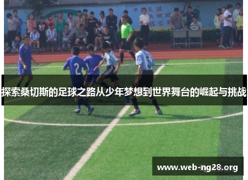 探索桑切斯的足球之路从少年梦想到世界舞台的崛起与挑战